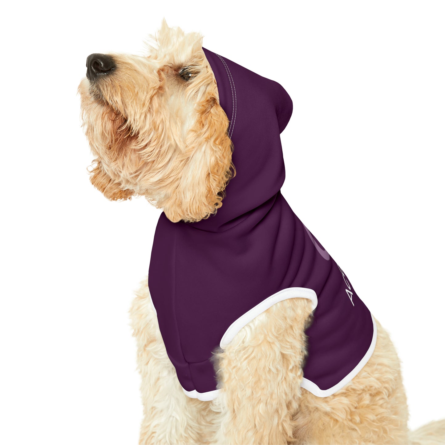 AccuRadio custom pet hoodie