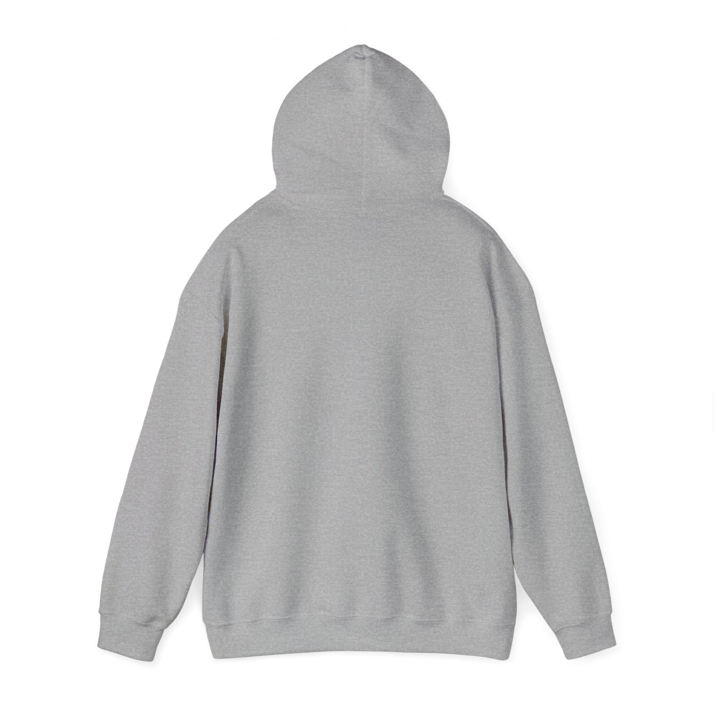 AccuRadio unisex heavy blend sweatshirt