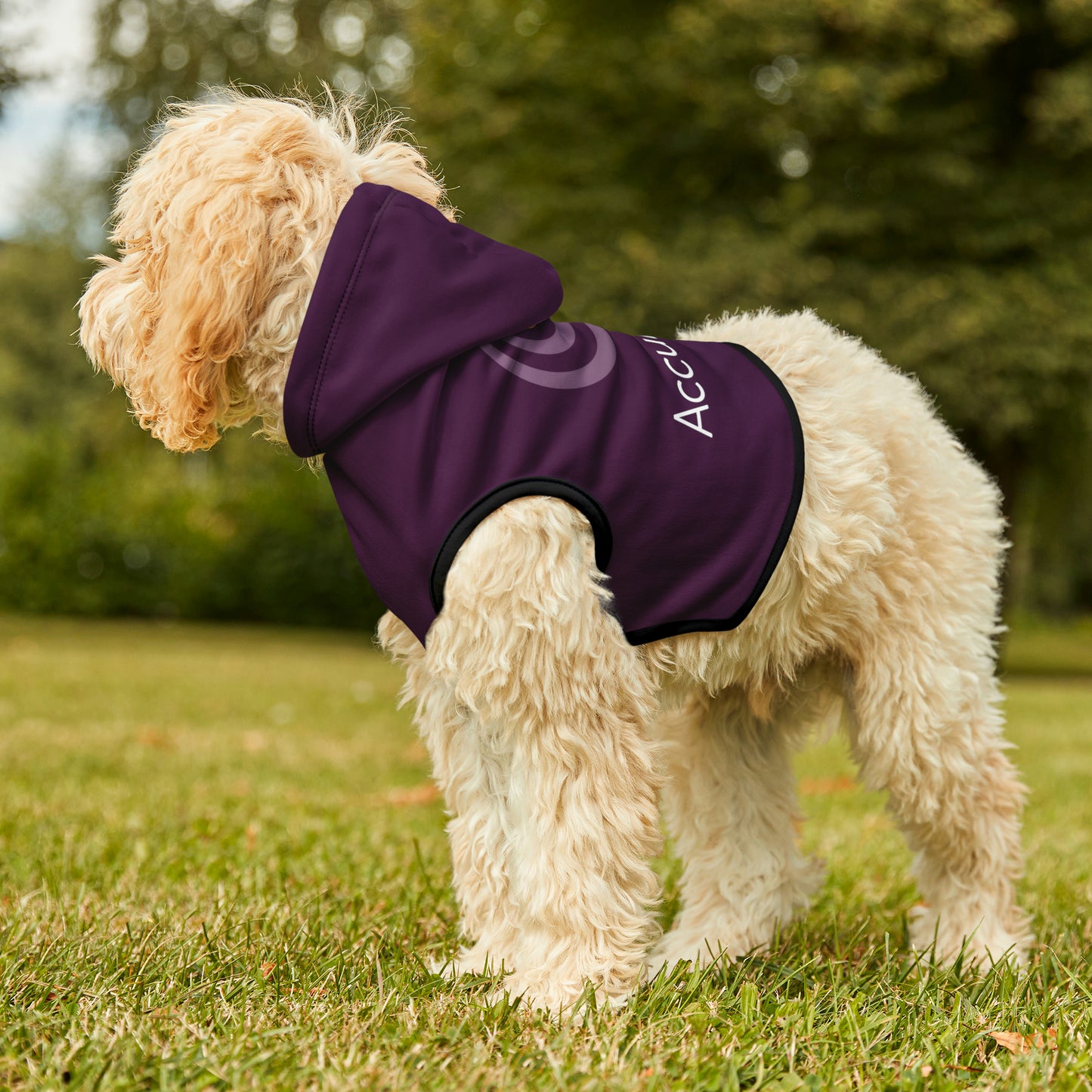 AccuRadio custom pet hoodie