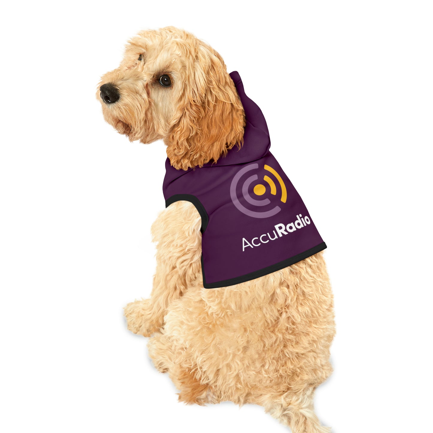 AccuRadio custom pet hoodie