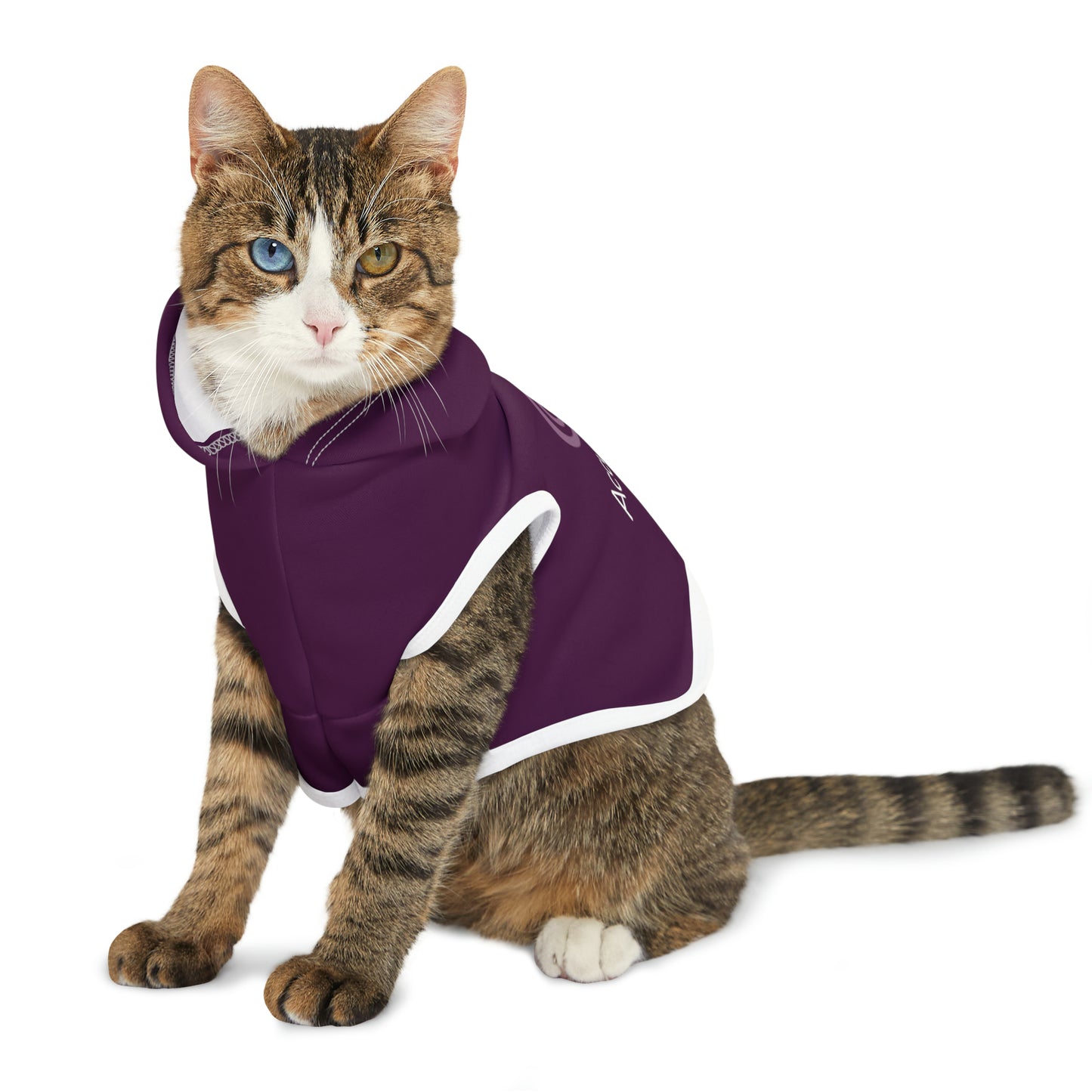 AccuRadio custom pet hoodie