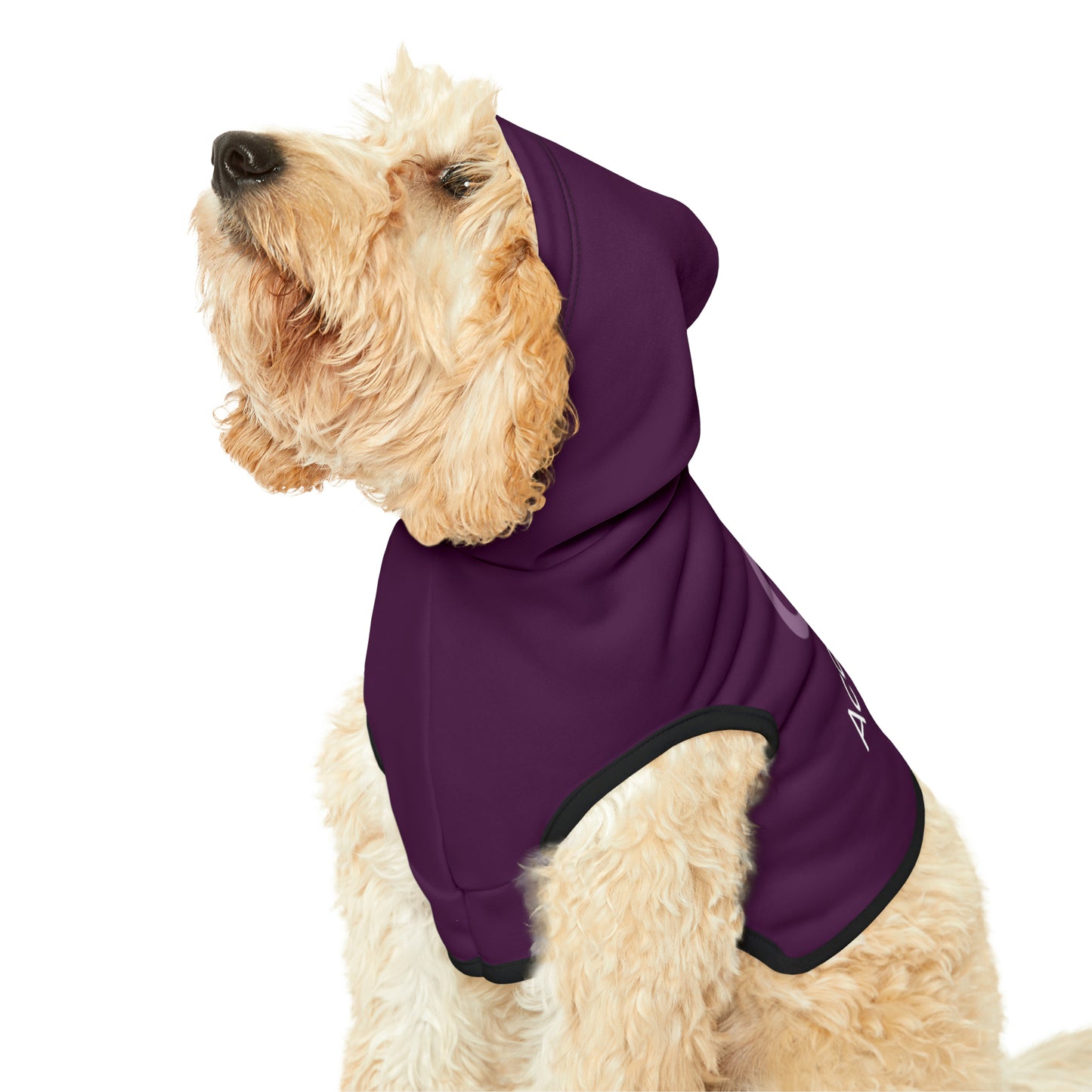 AccuRadio custom pet hoodie