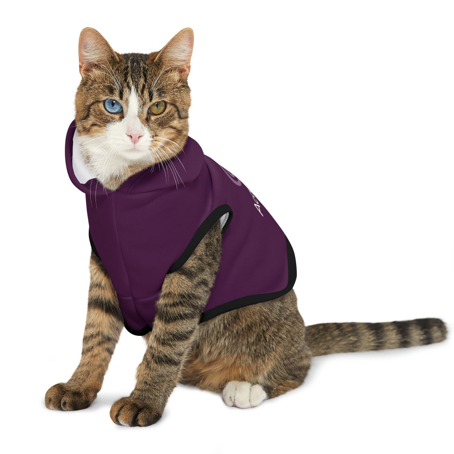AccuRadio custom pet hoodie