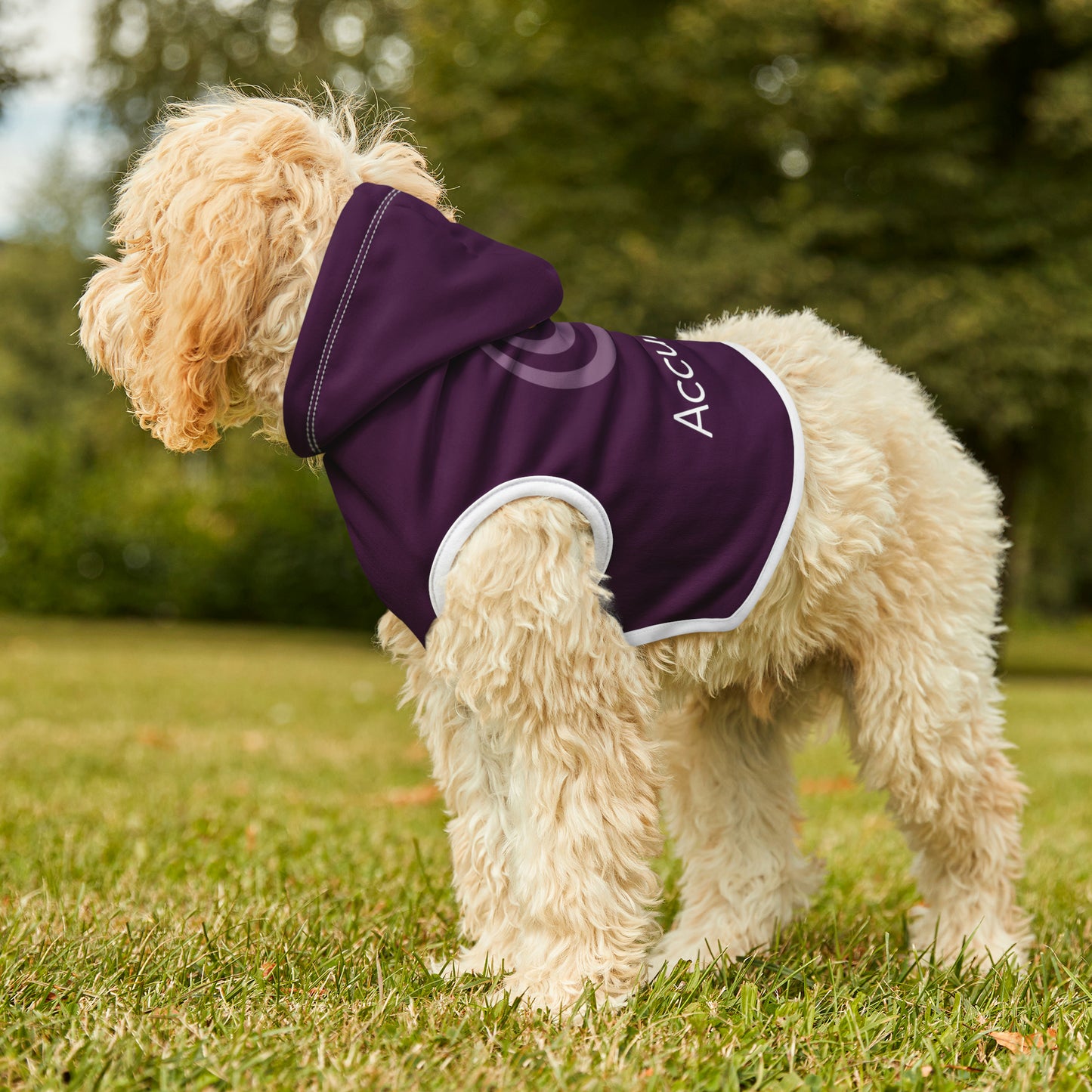 AccuRadio custom pet hoodie