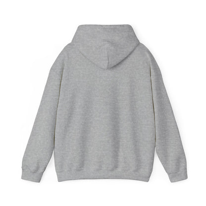 AccuRadio "Better music for your workday" unisex hoody