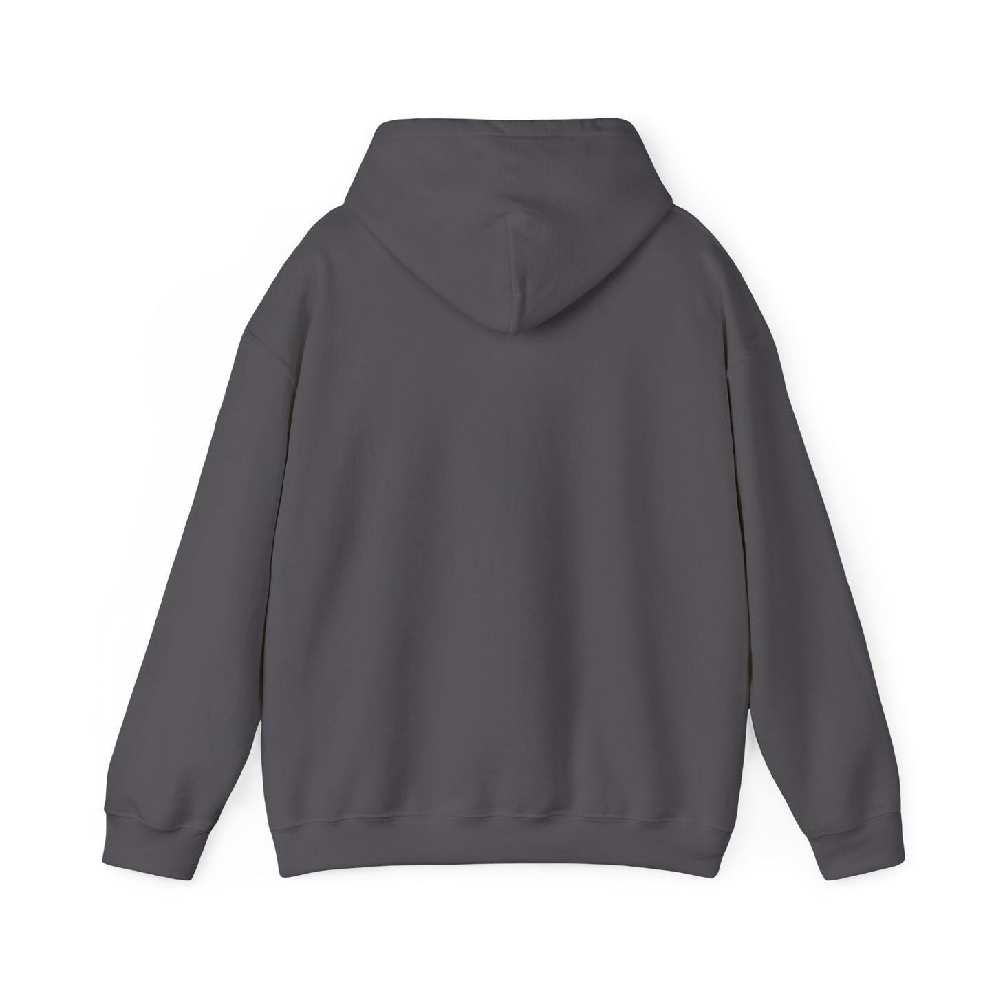 AccuRadio "Better music for your workday" unisex hoody