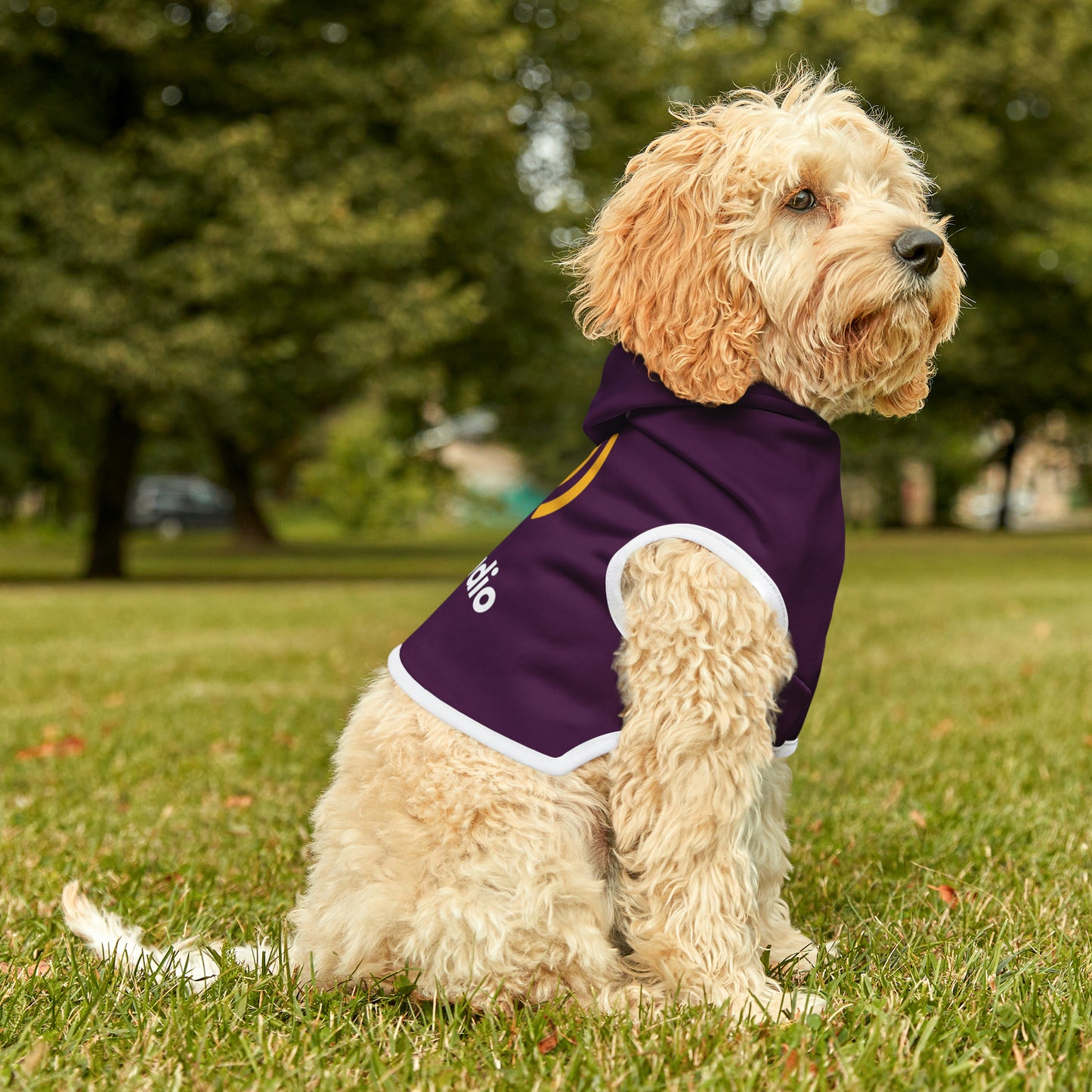 AccuRadio custom pet hoodie