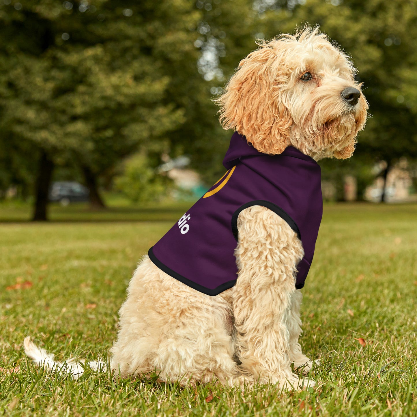 AccuRadio custom pet hoodie