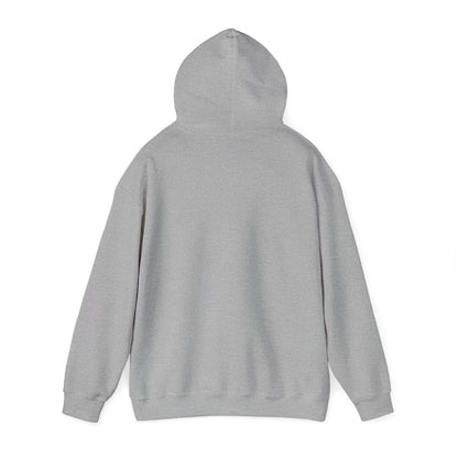 AccuRadio "Better music for your workday" unisex hoody