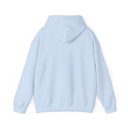 AccuRadio unisex heavy blend sweatshirt
