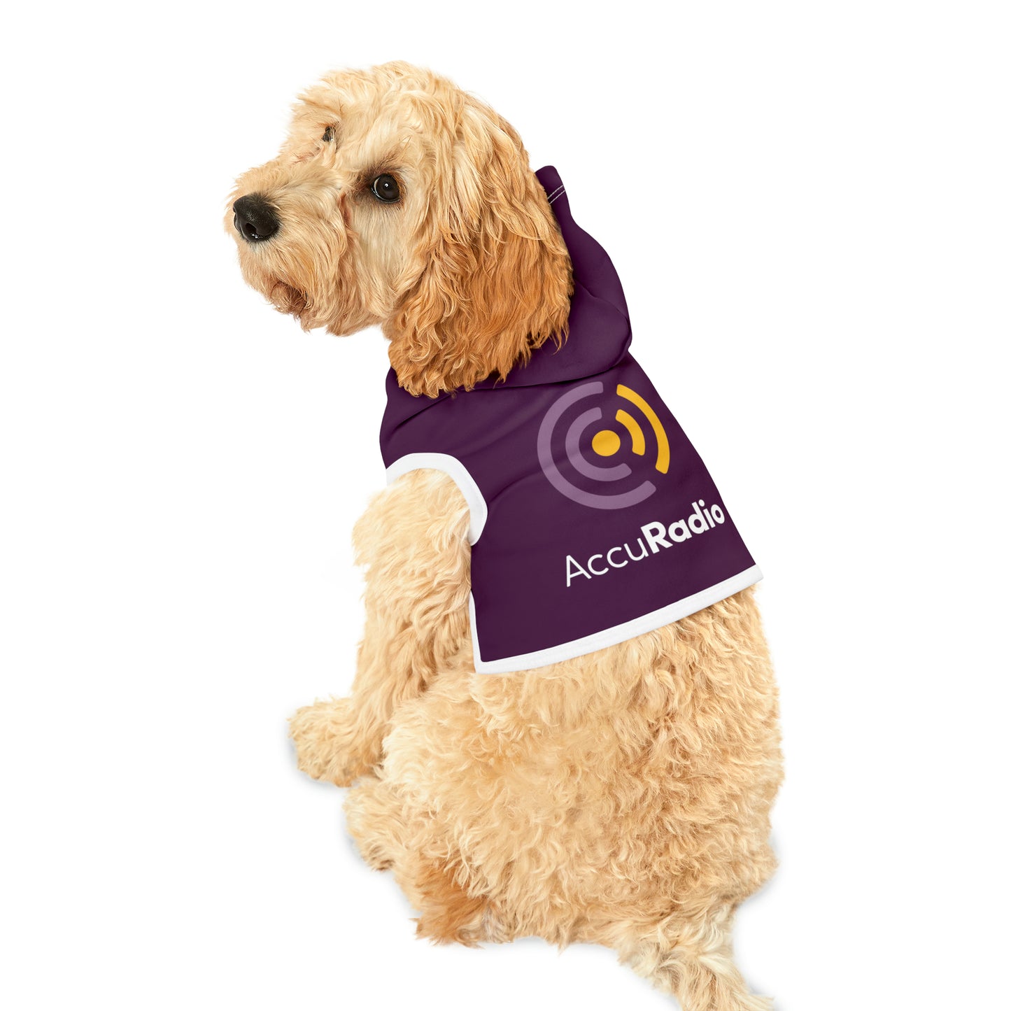 AccuRadio custom pet hoodie